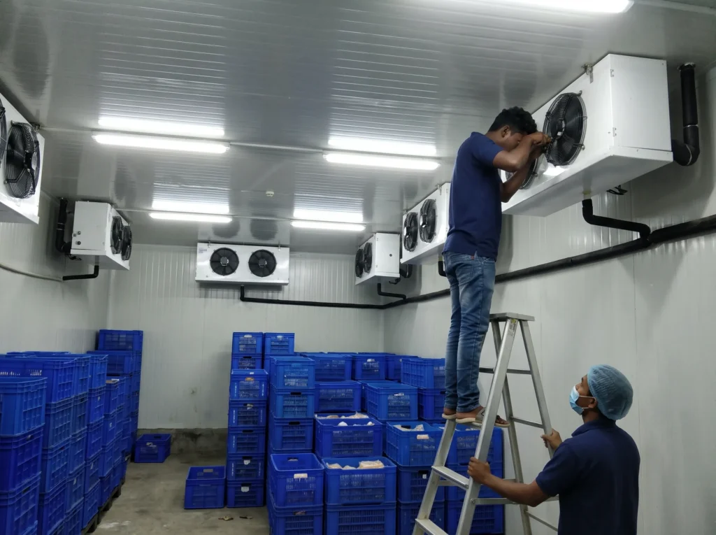 Cold Storage